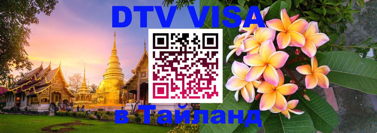 Сколько стоит DTV виза — актуальные цены, оформление даже без документов - 